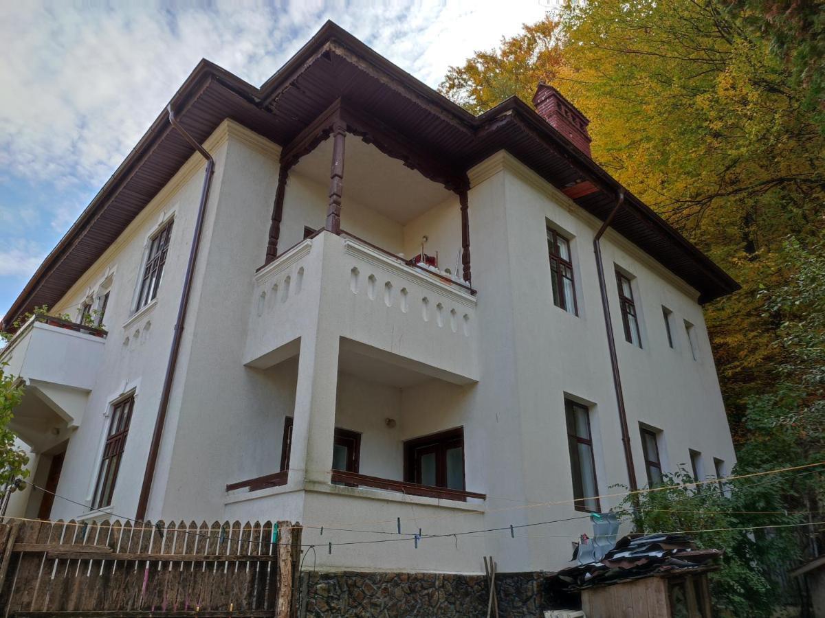 Vila Brazilor Кечулата Екстер'єр фото