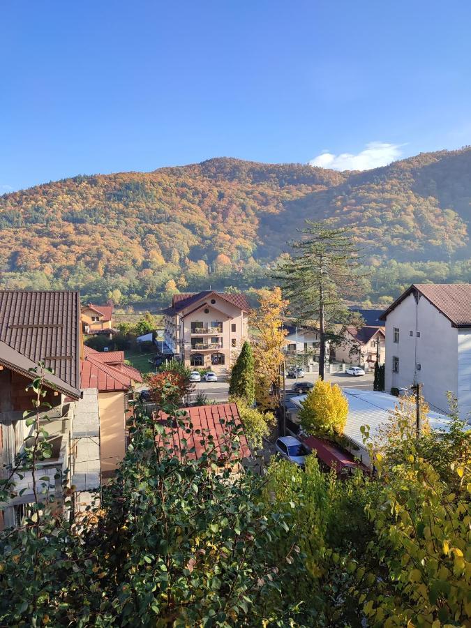 Vila Brazilor Кечулата Екстер'єр фото