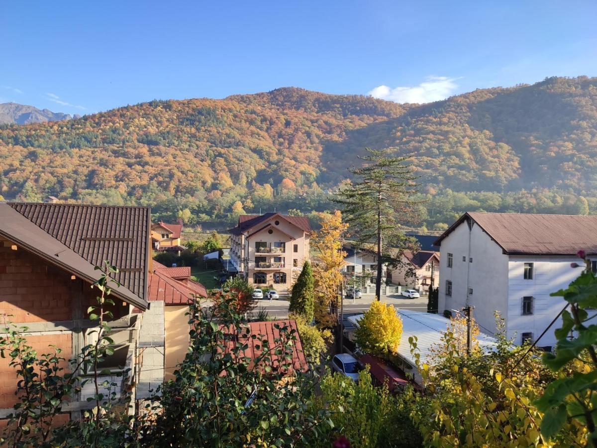 Vila Brazilor Кечулата Екстер'єр фото